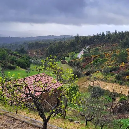 Quinta Dos Kiwis Sertã