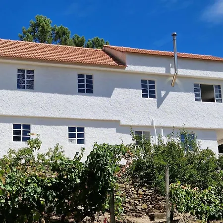 Quinta Dos Kiwis Sertã