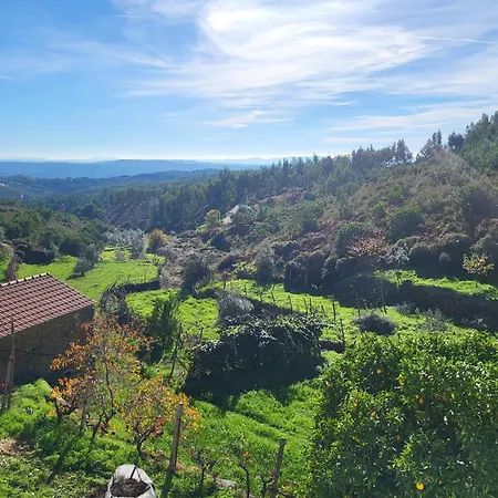 Quinta Dos Kiwis Villa Sertã