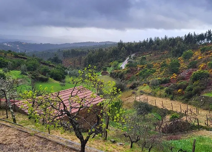 Quinta Dos Kiwis Sertã