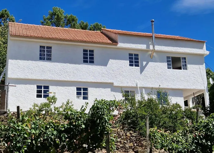 Quinta Dos Kiwis Sertã