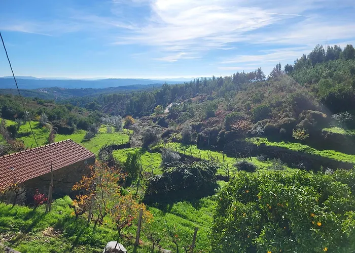 Quinta Dos Kiwis فيلة Sertã