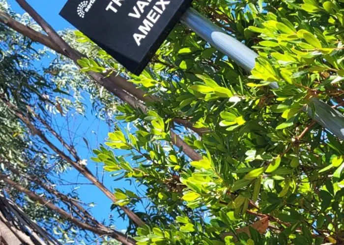 Quinta Dos Kiwis *
